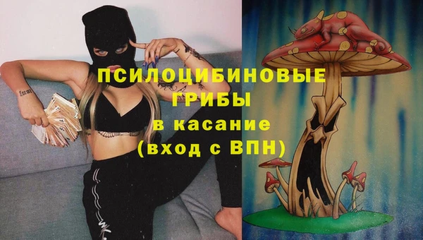 a pvp Вяземский